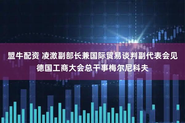 盟牛配资 凌激副部长兼国际贸易谈判副代表会见德国工商大会总干事梅尔尼科夫