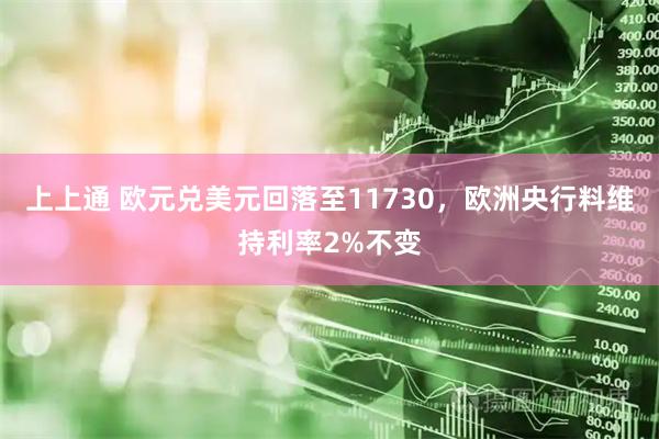 上上通 欧元兑美元回落至11730，欧洲央行料维持利率2%不变