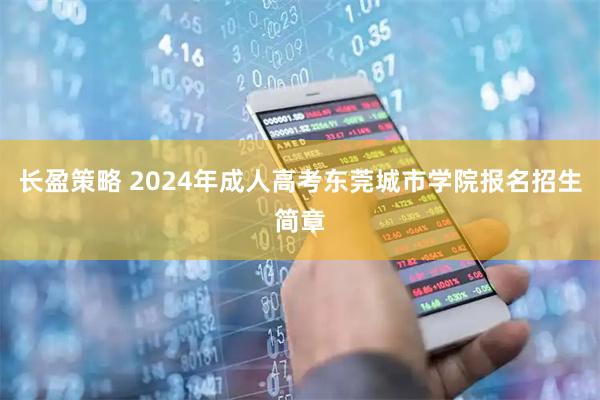 长盈策略 2024年成人高考东莞城市学院报名招生简章