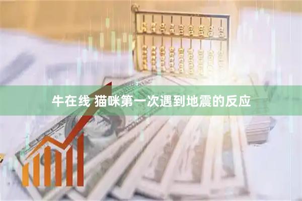 牛在线 猫咪第一次遇到地震的反应